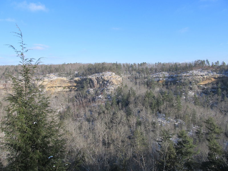 Indian Staircase is one of many beautiful features along the Sheltowee Trace.