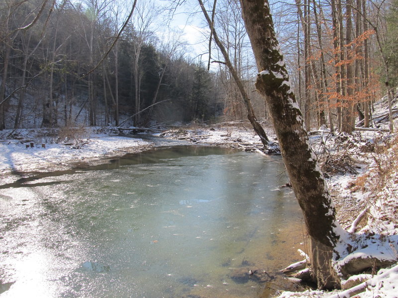 At this point during the winter, Gladie Creek was half frozen.