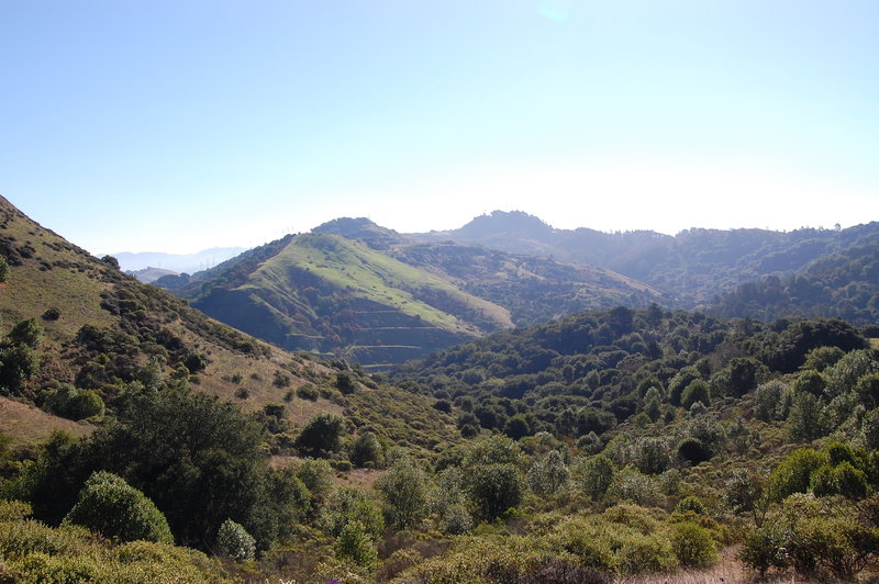 Green hillsides dot the landscape along the Skyline Trail.