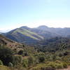 Green hillsides dot the landscape along the Skyline Trail.