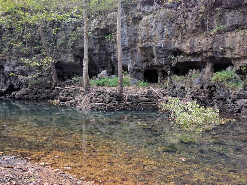 The clear waters of Whites Creek in the Irish Wilderness, Mark Twain National Forest.