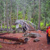 A sturdy bridge ushers hikers over Swift Creek along the Granite Lake Trail.