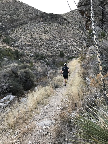 Just after the descent into Pugatory Canyon, heading toward the arroyo.