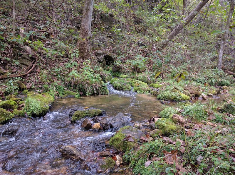 The beautiful Bliss Spring bubbles along the Whites Creek Trail in the Irish Wilderness in Mark Twain National Forest.