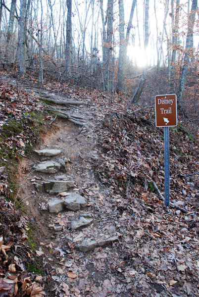 The beginning of the climb (January 2017).