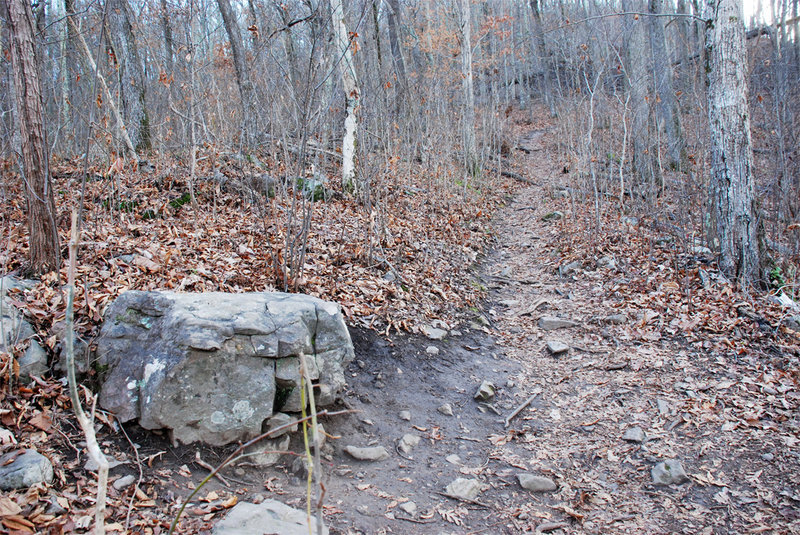 An uncommon level spot that makes a good spot to rest before tackling the climbs again (January 2017).