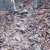 The climb intensifies with loose and fixed medium to large rocks, slippery roots, and steep grade (January 2017).