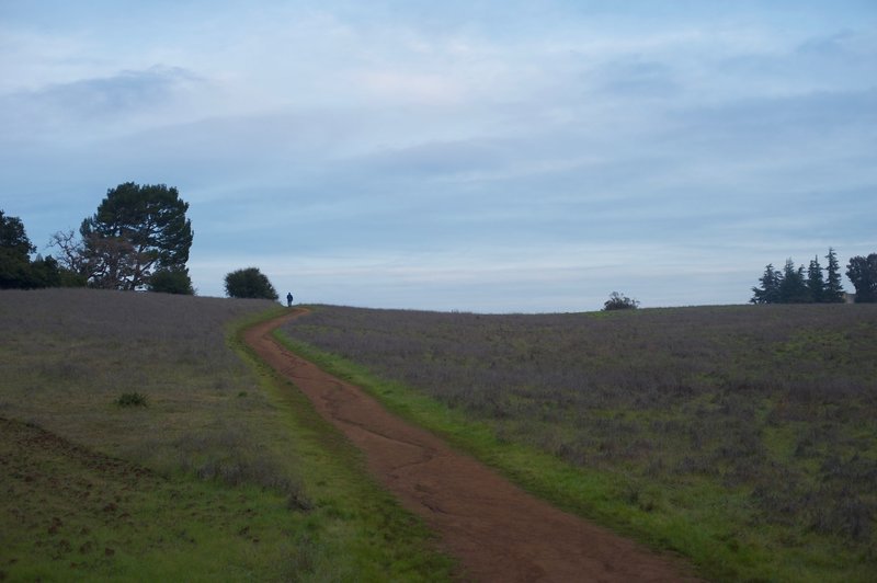 The trail ascends the hill through the meadows. Animals can be seen feeding in these fields in the morning and evenings.