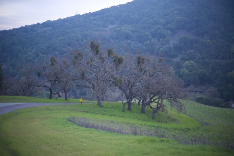 Looking off to the right, you can see the land that the preserve protects. The trail drops steeply to the Lower Meadow Trail.