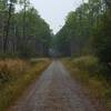 An egret flies in the distance along Boy Scout Road.