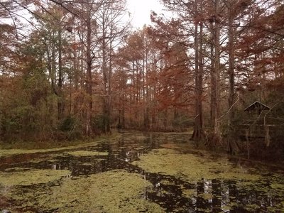 are dogs allowed at northlake nature center