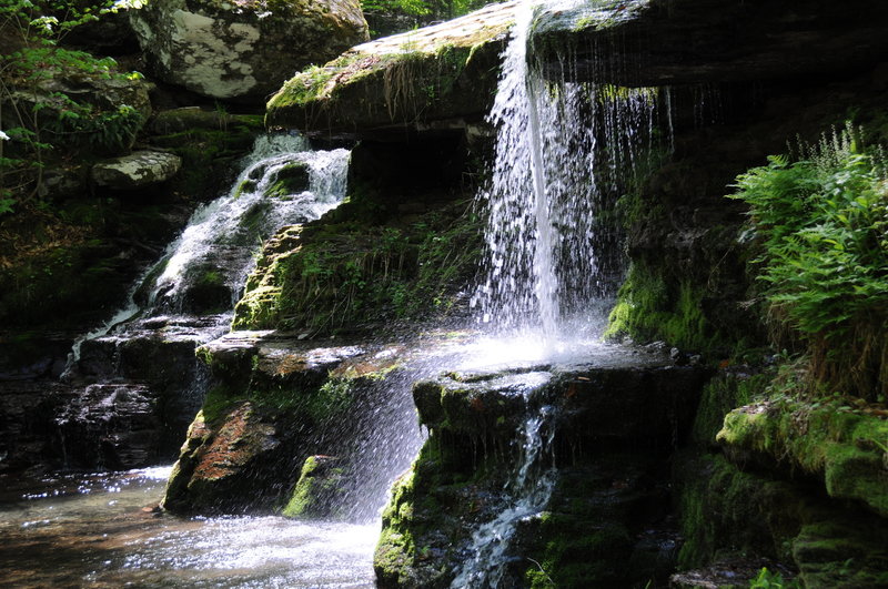 Water cascades over Diamond Notch Falls in the dim forest light.