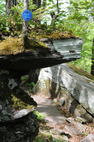 The trails are all clearly marked in the Windham Blackhead Range Wilderness.