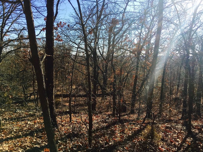 Nice views abound in Turkey Mountain Park.