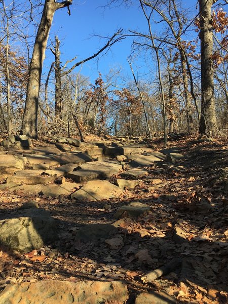 Turkey Mountain's Blue Trail has spots that are rocky underfoot.