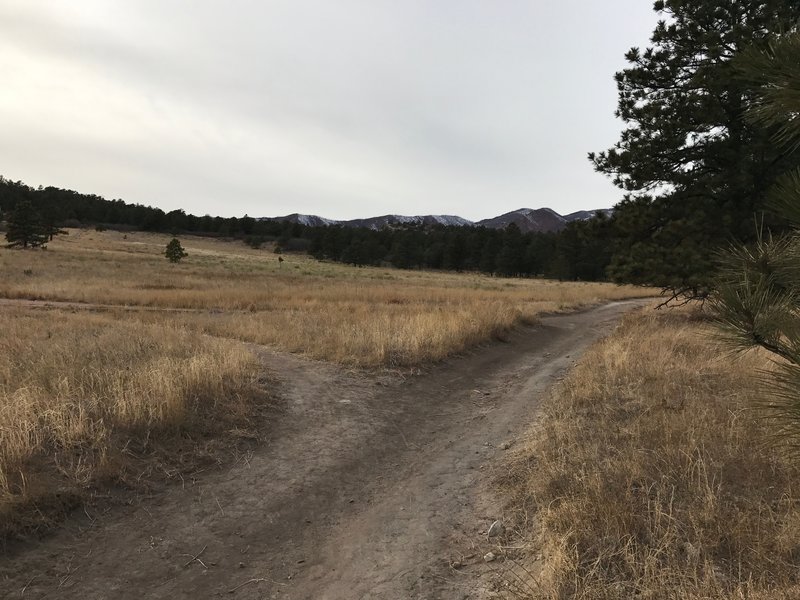 Trail through the meadow.