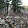 The Scrub Oak Path trail.