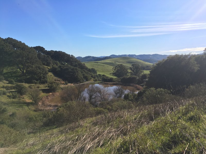 The Cattail Trail offers a beautiful look at the pond below.