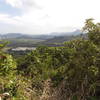 At this point on the trail, look over your shoulder for a great view to Makapuu.