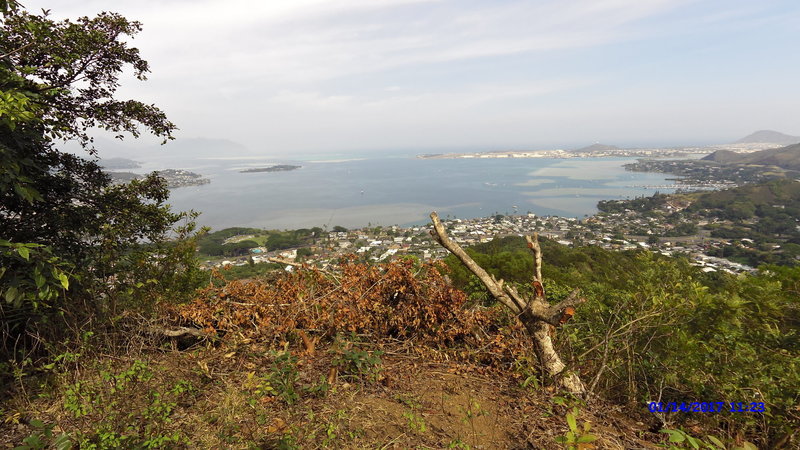 The trail offers a gorgeous view of Kaneohe Bay (you can see Chanaman's Hat too).