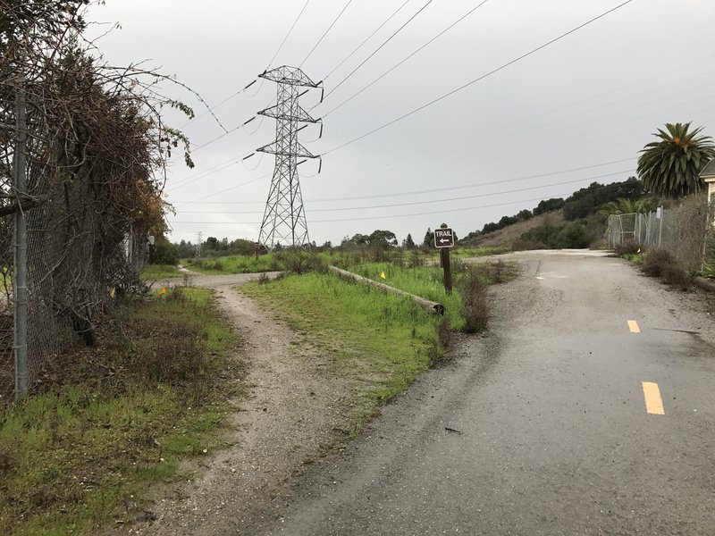 There comes a point where the trail breaks off to the left and follows the cemetery fence line.