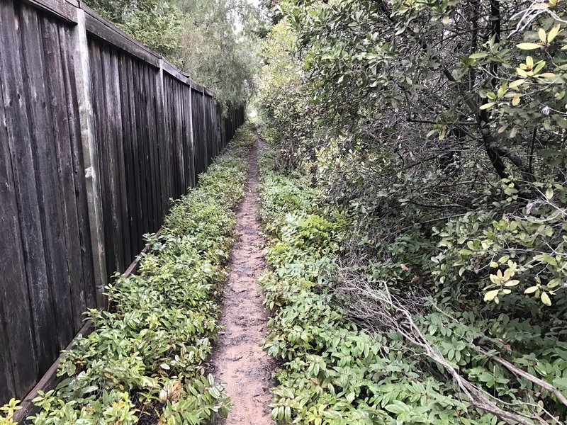 The trail becomes very narrow as it passes between the residential area and PG&E property.