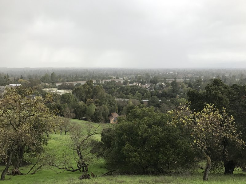 Despite the cloud cover, you get a sense for the view from the hills above Cupertino.