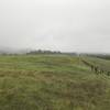 The trail passes through the meadows on this hillside.