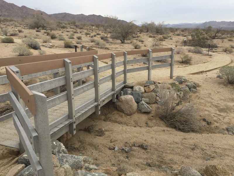 The Bajada Nature Trail begins with a sturdy footbridge over a sandy wash.