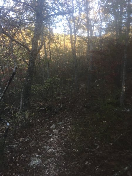 A beautiful October hike in Meramec State Park begins with leaf-covered trail in dense hardwood forests.