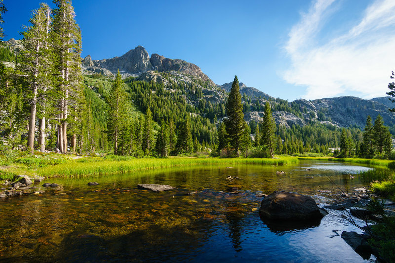 Shadow Creek gurgles near the John Muir Trail in the Ansel Adams Wilderness.