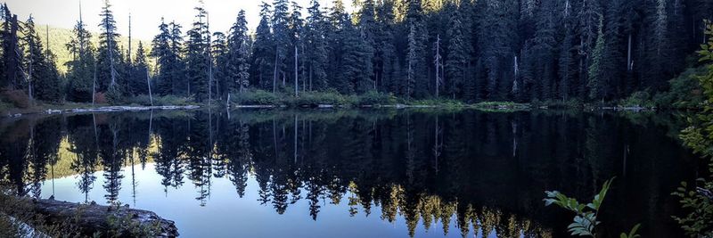 A short, half-mile hike in leads you to the shoreline of Plaza Lake. Photo by Cameron Brown.