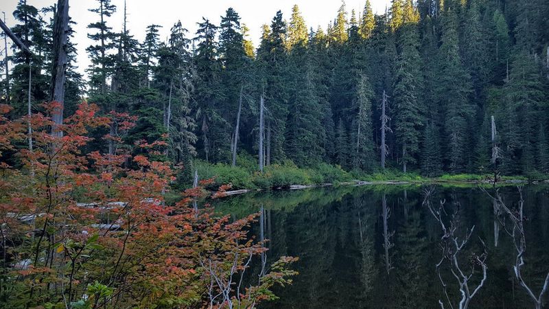 While the drive to the trailhead is long and the hike is short, the fall colors at Plaza Lake can be beautiful. Photo by Cameron Brown.