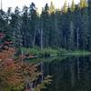 While the drive to the trailhead is long and the hike is short, the fall colors at Plaza Lake can be beautiful. Photo by Cameron Brown.