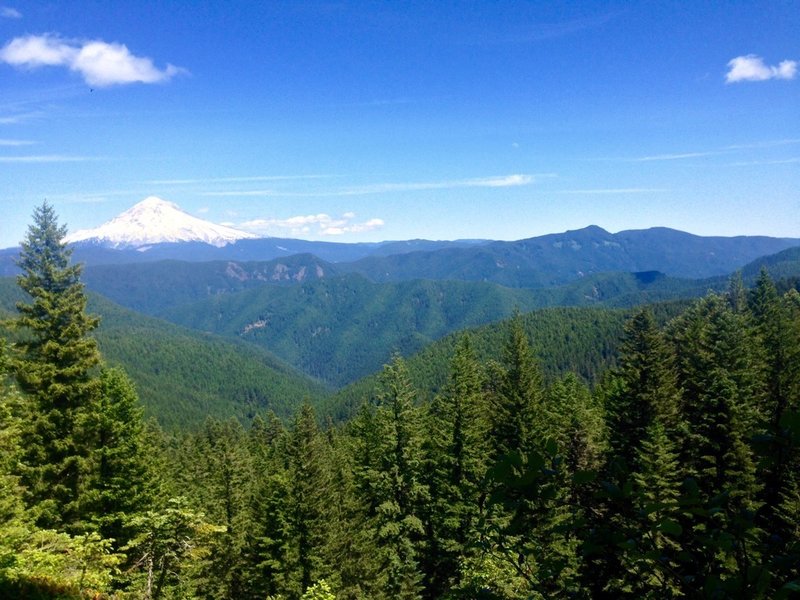 This view from the Plaza Trail looks toward Mt. Hood and Devil's Peak on Hunchback Mountain. Photo by Cameron Brown.