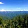 This view from the Plaza Trail looks toward Mt. Hood and Devil's Peak on Hunchback Mountain. Photo by Cameron Brown.