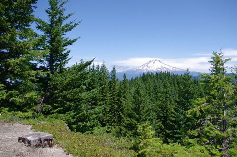 The remnants of the Salmon Mountain Lookout on the Salmon Mountain Trail still provide a gorgeous look at Mt. Hood. Photo by John Sparks.