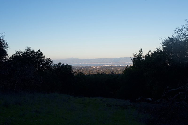 The trail begins to emerge from the woods and views of the South Bay stretch out before you.