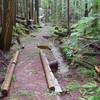 There are some wet springs and a boardwalk along the Still Creek Trail. Photo by John Sparks.