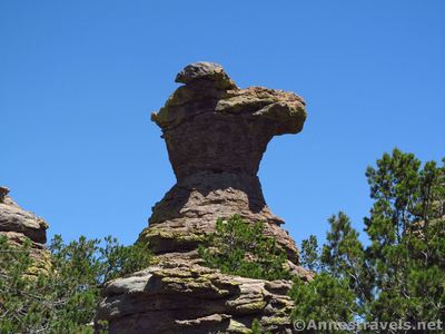 The Camel's Head formation stands along the Heart of Rocks Loop.
