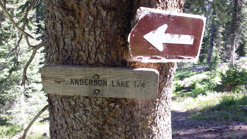 While the trail sign to Anderson Lake is obvious if you're running north, it's hidden if you're running south.