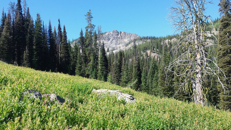 Heading up the Anderson Lake Trail, look to your right to get this gorgeous view of Boulder Mountain.