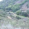 The Rogue Valley Trail parallels the Chamise Trail as both trails make their way deeper into the preserve.