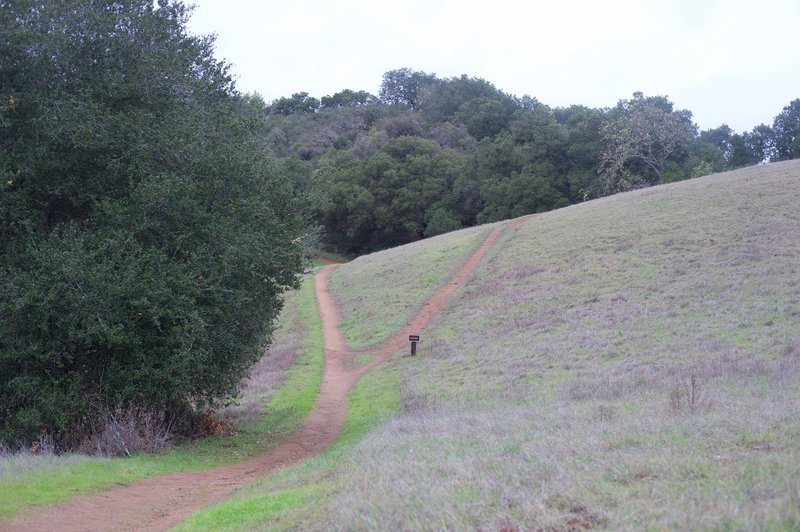 At this point, a small side trail leads up to the Mary Davey Memorial.