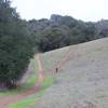 At this point, a small side trail leads up to the Mary Davey Memorial.