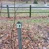 This is a confusing sign near the dog park on the Shoreline Trail. Turn left and walk clockwise around the fenced area back towards the lakeshore.