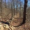 This ancient (possibly Etruscan) wall guides you through dense hardwood forests along the Rich Mountain Trail (RMT).