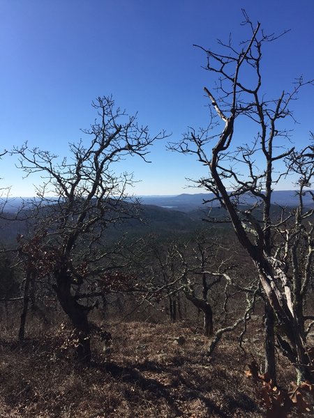 Southwestern Arkansas is leafless in winter. Mena Lake can be seen in the distance.