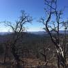 Southwestern Arkansas is leafless in winter. Mena Lake can be seen in the distance.