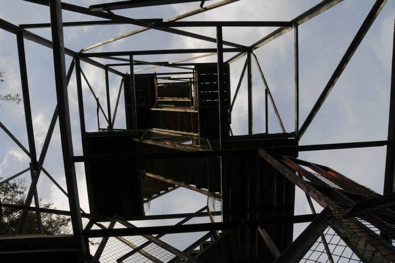 Climbing Sterling Forest Fire Tower rewards you with stunning views of the surrounding woodlands.